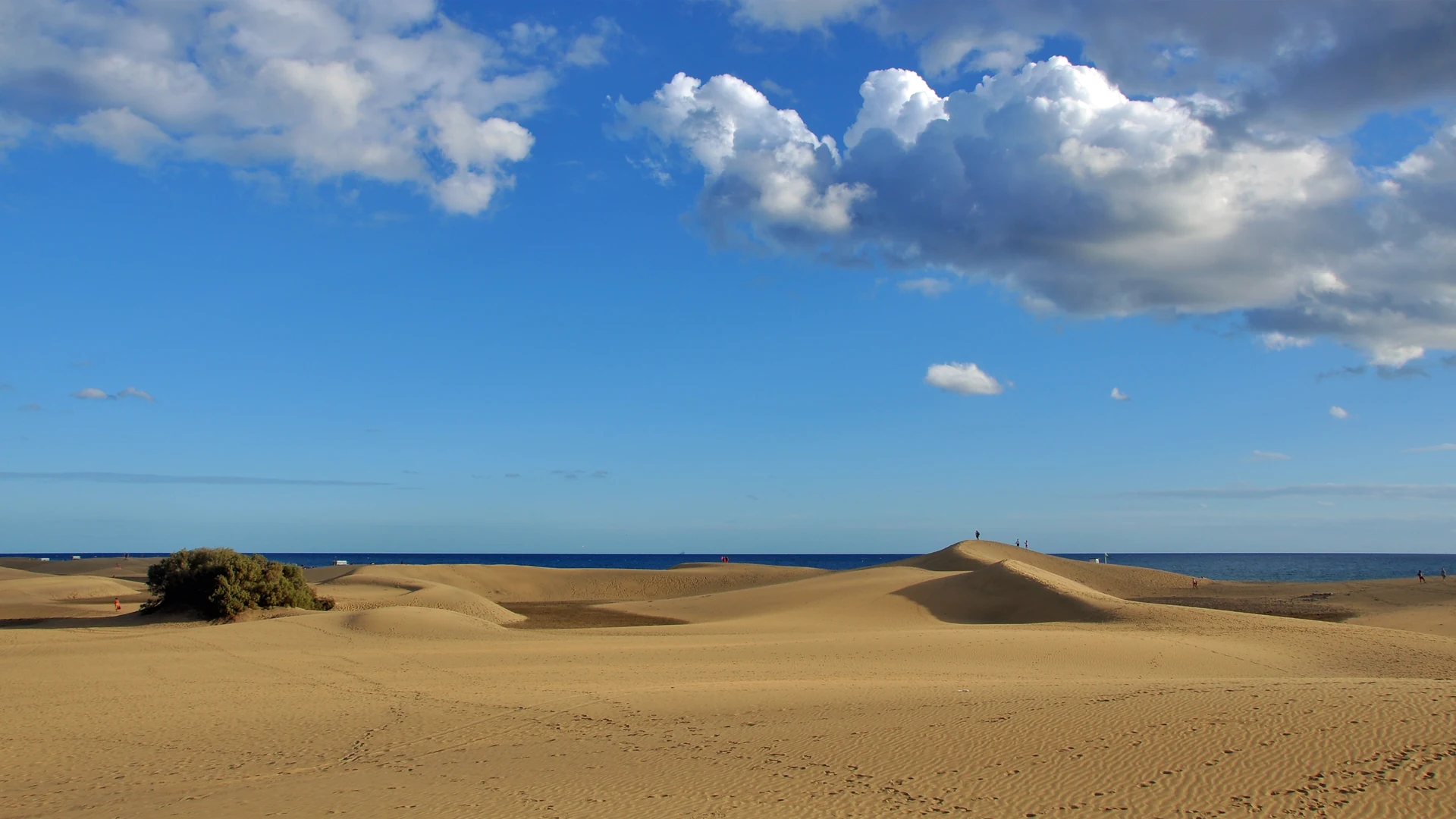 Wind-shaped sand ridges of the Maspalomas dunes running towards the Atlantic under a blue sky, southern Gran Canaria
